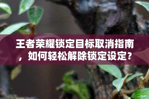 王者荣耀锁定目标取消指南图片