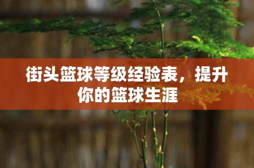 街头篮球等级经验表图片