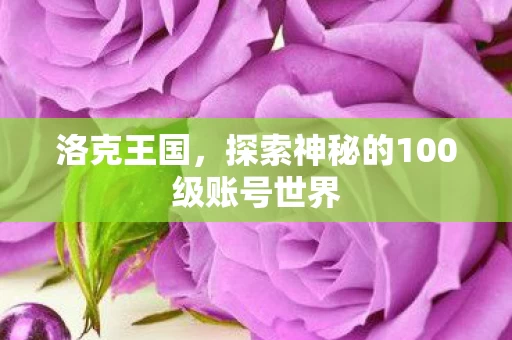 探索神秘的100级账号世界图片