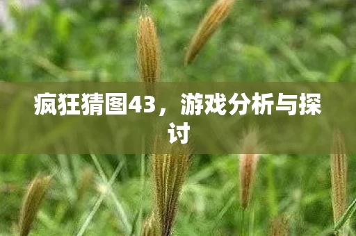 疯狂猜图43，游戏分析与探讨