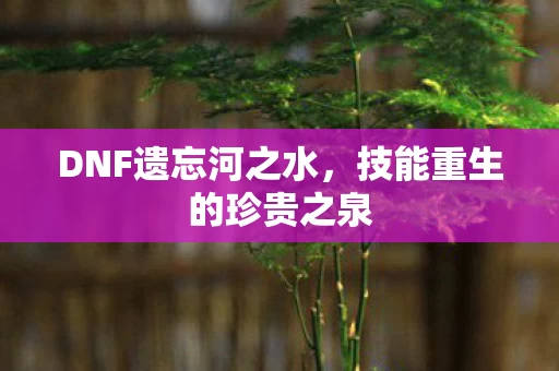 技能重生的珍贵之泉图片