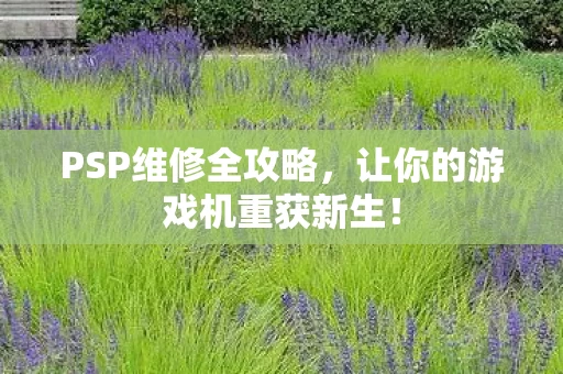 让你的游戏机重获新生图片