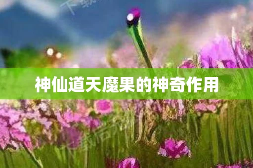 神仙道天魔果的神奇作用图片