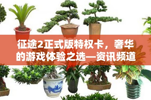 征途2正式版特权卡图片