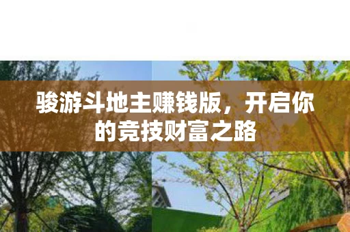 开启你的竞技财富之路图片