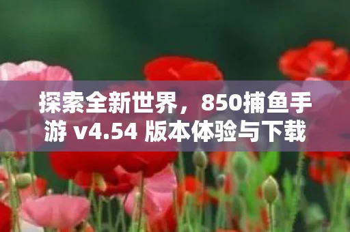 54 版本体验与下载指南图片