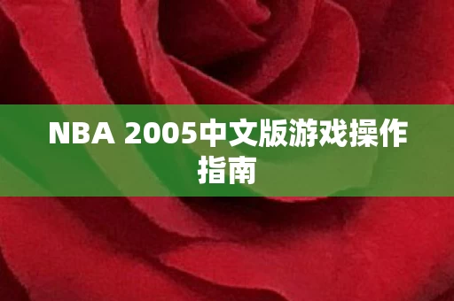 NBA 2005中文版游戏操作指南图片