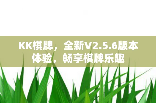 畅享棋牌乐趣图片