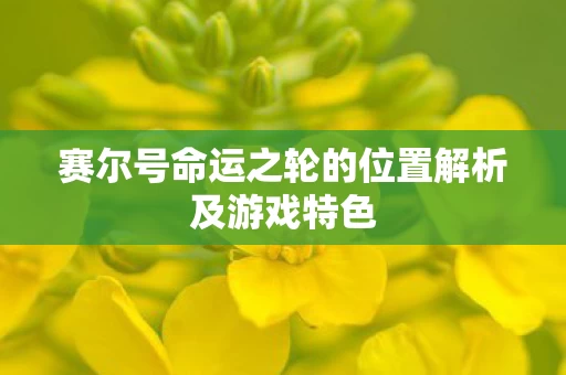 赛尔号命运之轮的位置解析及游戏特色图片