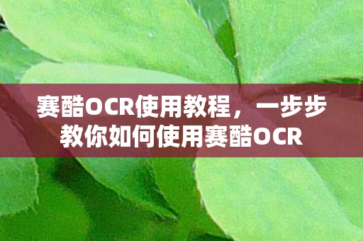 一步步教你如何使用赛酷OCR图片