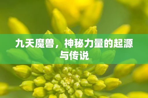 神秘力量的起源与传说图片