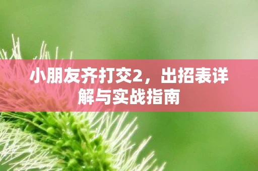 出招表详解与实战指南图片