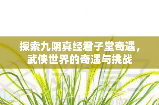 探索九阴真经君子堂奇遇图片