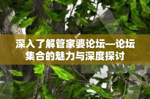 论坛集合的魅力与深度探讨图片