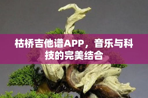 音乐与科技的完美结合图片