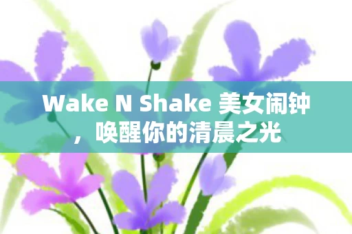 Wake N Shake 美女闹钟,唤醒你的清晨之光 Wake N Shake 美女闹钟,唤醒你的清晨之光