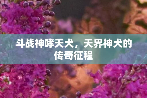 天界神犬的传奇征程图片