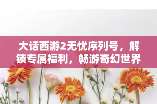 大话西游2无忧序列号图片