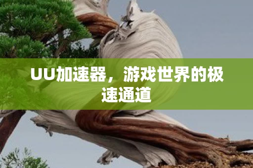 游戏世界的极速通道图片
