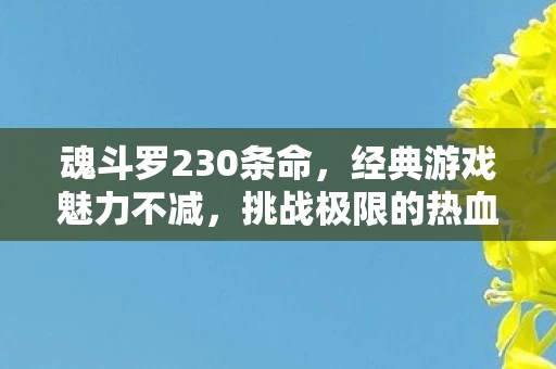 挑战极限的热血传奇图片