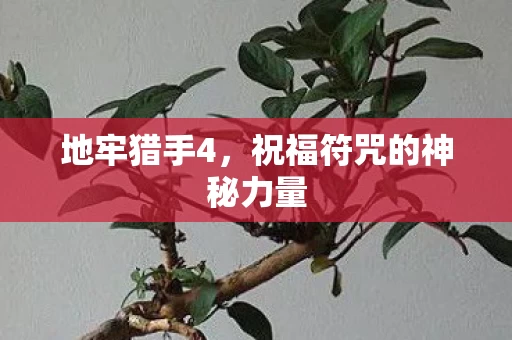 祝福符咒的神秘力量图片