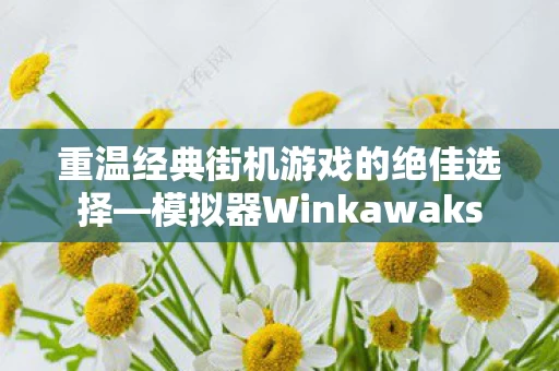 重温经典街机游戏的绝佳选择图片