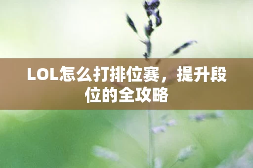LOL怎么打排位赛图片