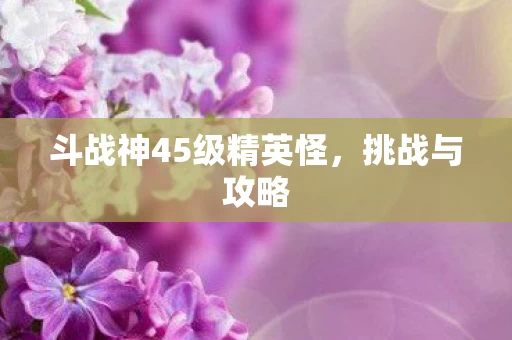 斗战神45级精英怪图片