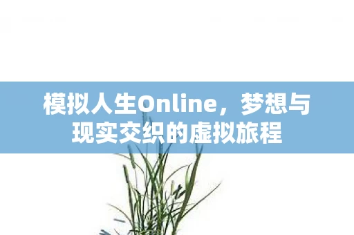 梦想与现实交织的虚拟旅程图片