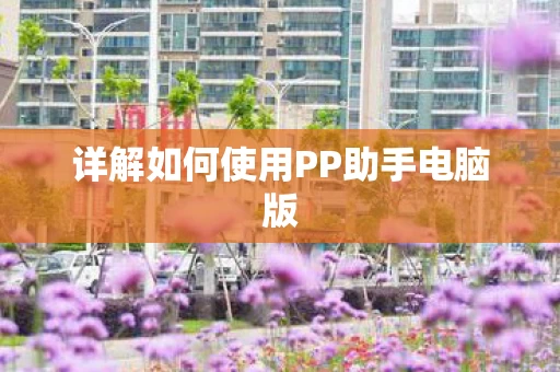 详解如何使用PP助手电脑版图片