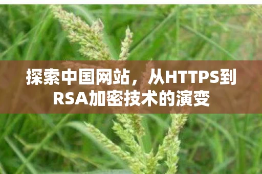从HTTPS到RSA加密技术的演变图片