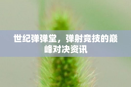 弹射竞技的巅峰对决资讯图片