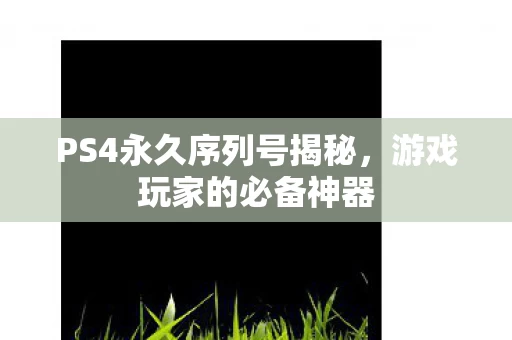 PS4永久序列号揭秘图片