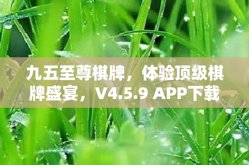 9 APP下载全新升级图片