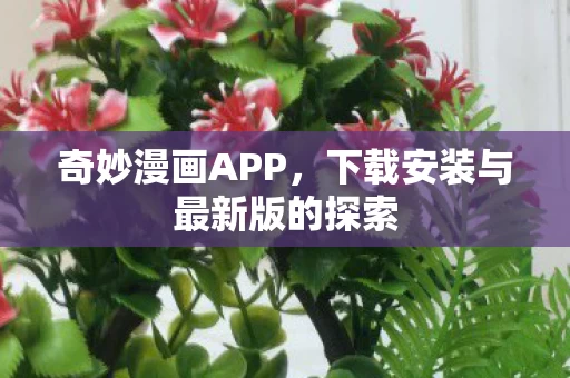 下载安装与最新版的探索图片