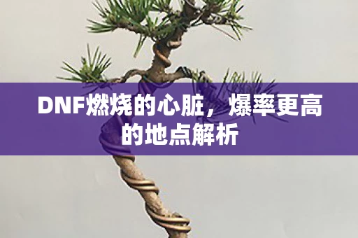 爆率更高的地点解析图片