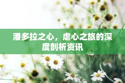 虐心之旅的深度剖析资讯图片