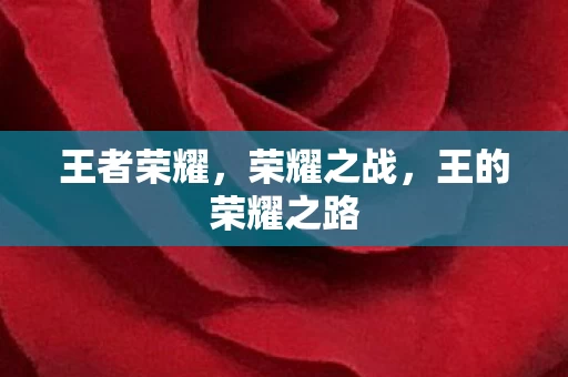 王的荣耀之路图片