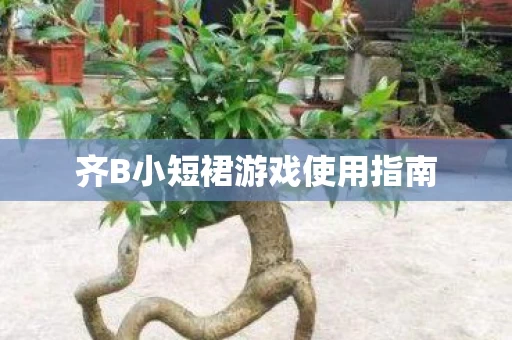 齐B小短裙游戏使用指南图片