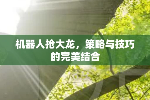 策略与技巧的完美结合图片
