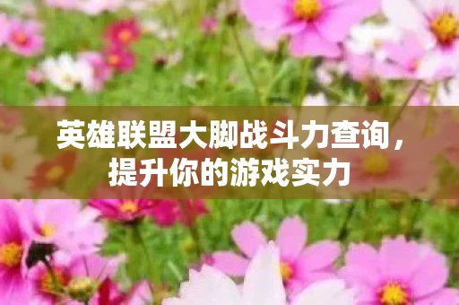 英雄联盟大脚战斗力查询图片