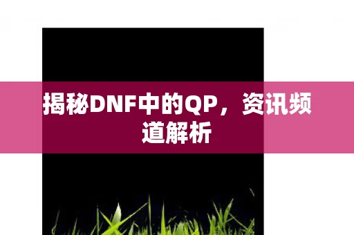 揭秘DNF中的QP图片