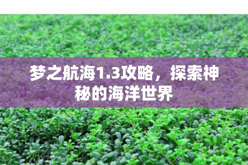 探索神秘的海洋世界图片