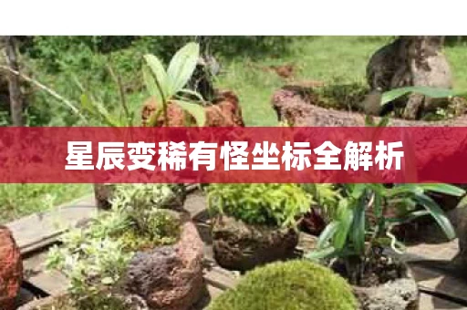 星辰变稀有怪坐标全解析图片