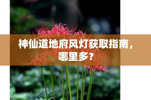 神仙道地府风灯获取指南图片