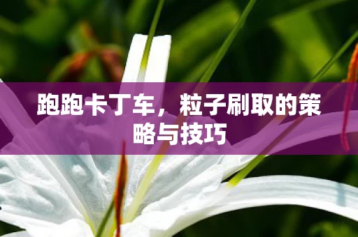 跑跑卡丁车,粒子刷取的策略与技巧 跑跑卡丁车,粒子刷取的策略与技巧