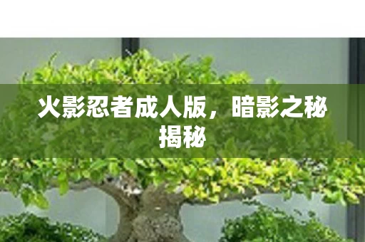火影忍者成人版图片