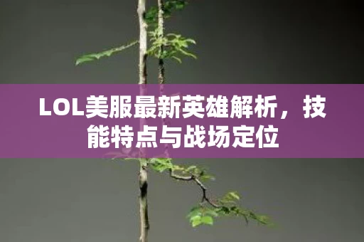 LOL美服最新英雄解析图片