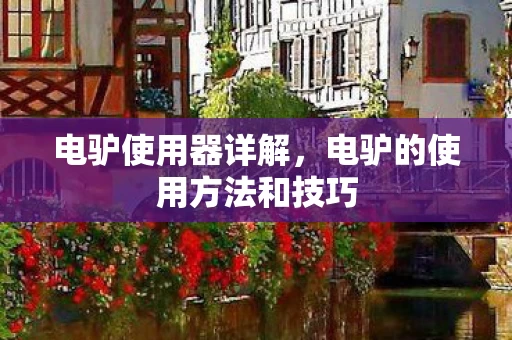 电驴的使用方法和技巧图片