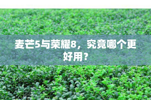麦芒5与荣耀8图片